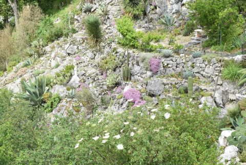 la zone d'boulis